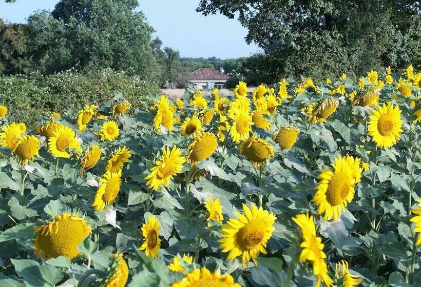 مبيت وإفطار A Labourdette