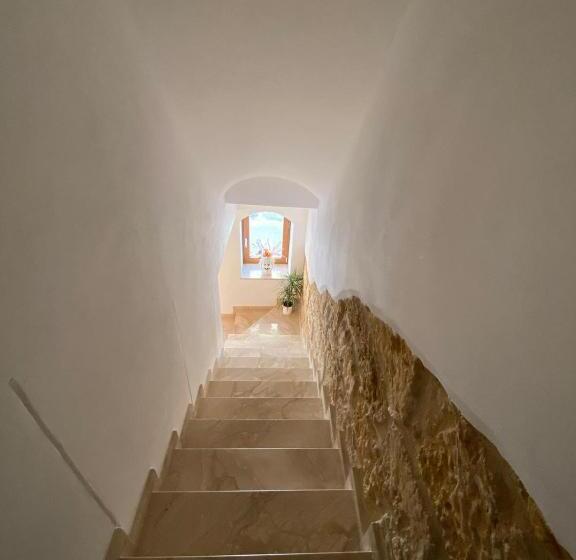 ベッドアンドブレックファースト Atrium