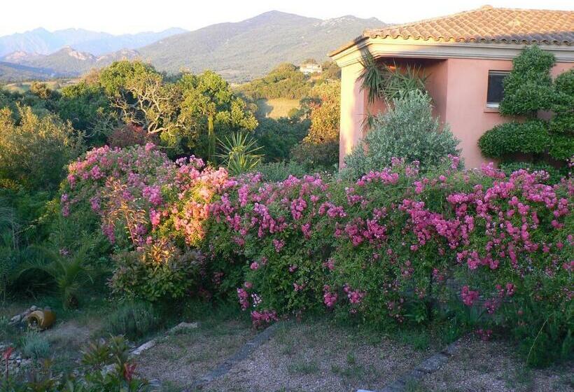 مبيت وإفطار Chambre D Hote Casa Tozza