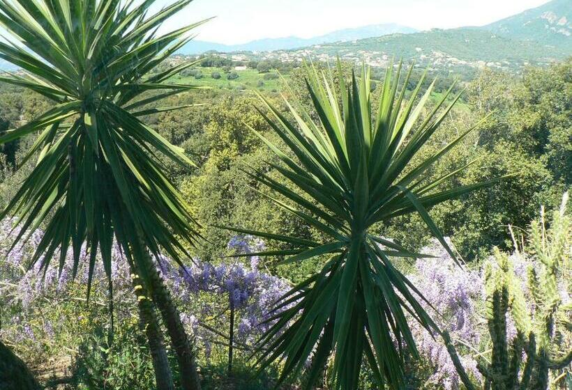 مبيت وإفطار Chambre D Hote Casa Tozza