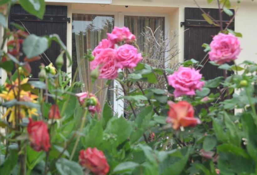 Bed and Breakfast Chambres D Hôtes La Forterie