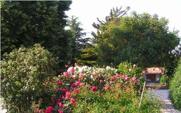 Bed and Breakfast Chambres D Hôtes La Forterie