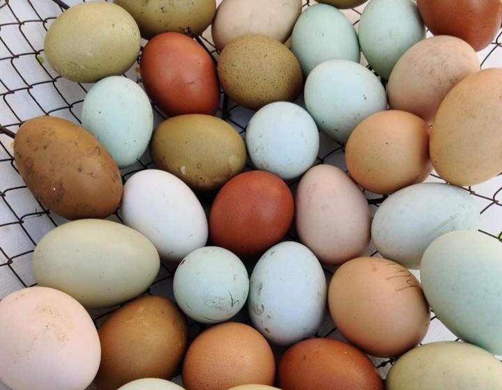 تختخواب و صبحانه Escale Chambre D Hôtes Au Coeur Du Vieux Profondeville Entre Namur Et Dinant