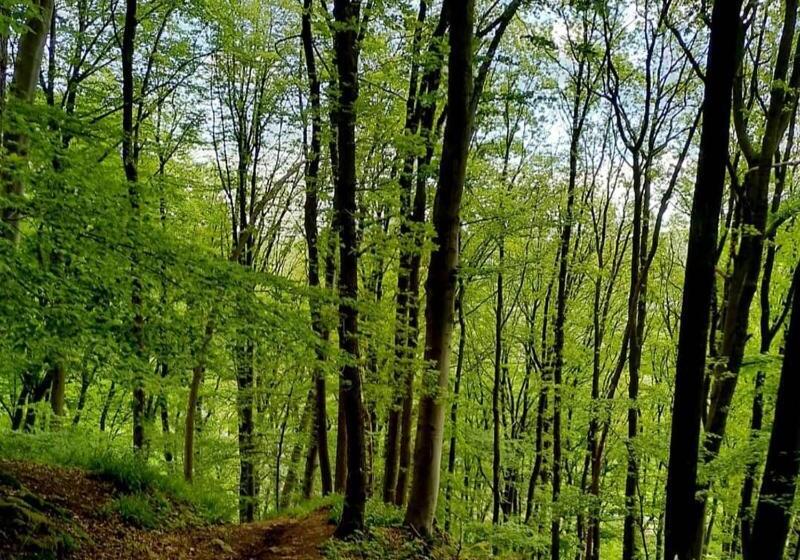 住宿加早餐  Escale Chambre D Hôtes Au Coeur Du Vieux Profondeville Entre Namur Et Dinant