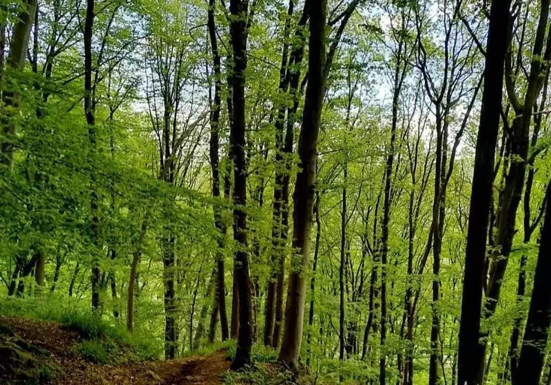 Aamiaismajoitus (B&B) Escale Chambre D Hôtes Au Coeur Du Vieux Profondeville Entre Namur Et Dinant