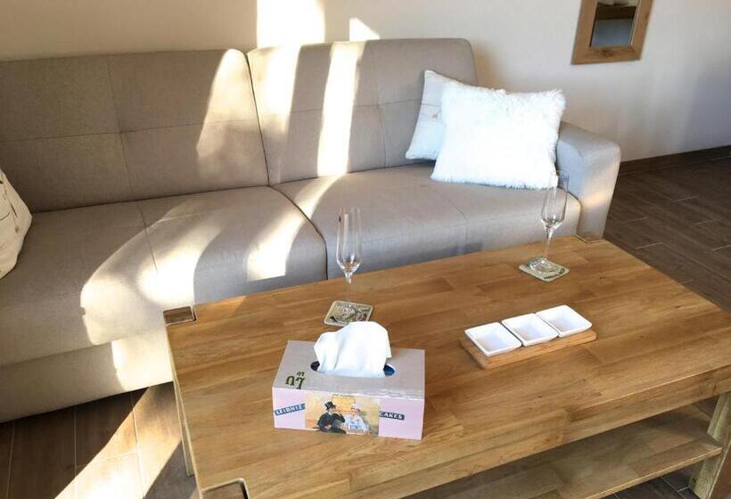 住宿加早餐  La Villa Aux Oliviers