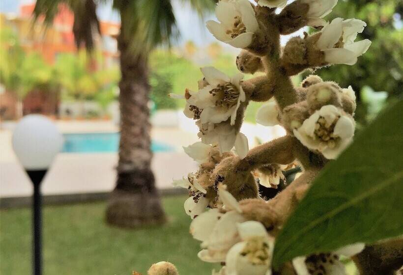 مبيت وإفطار Marricriu Camere Avola