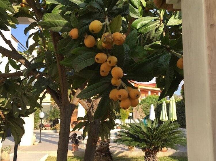 مبيت وإفطار Marricriu Camere Avola