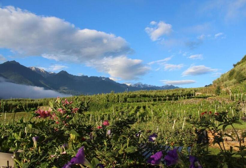 فندق La Vita In Campagna