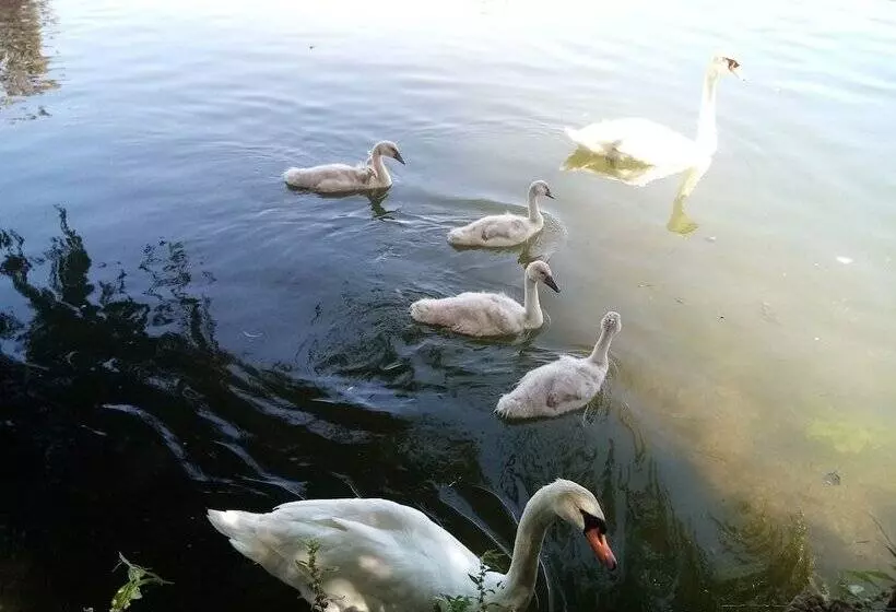 ペンション Caravane Eriba Au Bord De L Eure