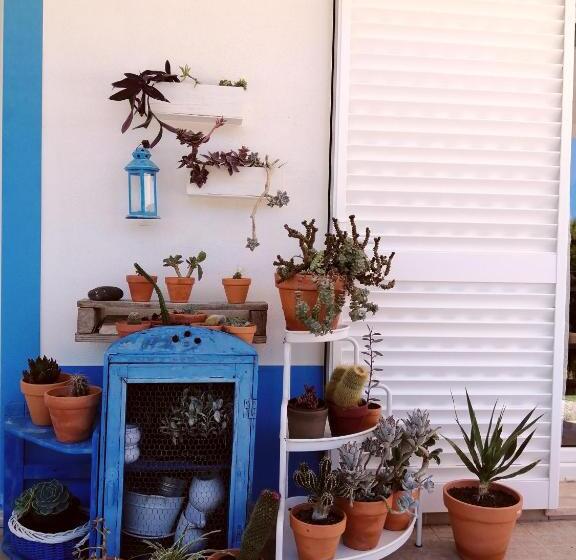 بنسيون Endless Summer Surf House