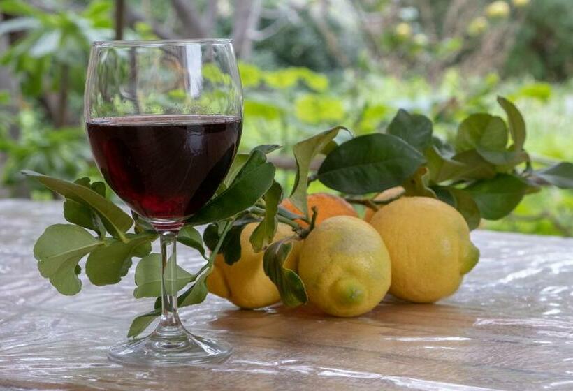 펜션 Il Fenicottero Guest House