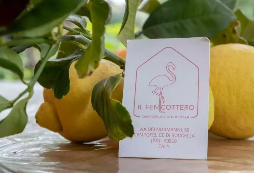 ペンション Il Fenicottero Guest House