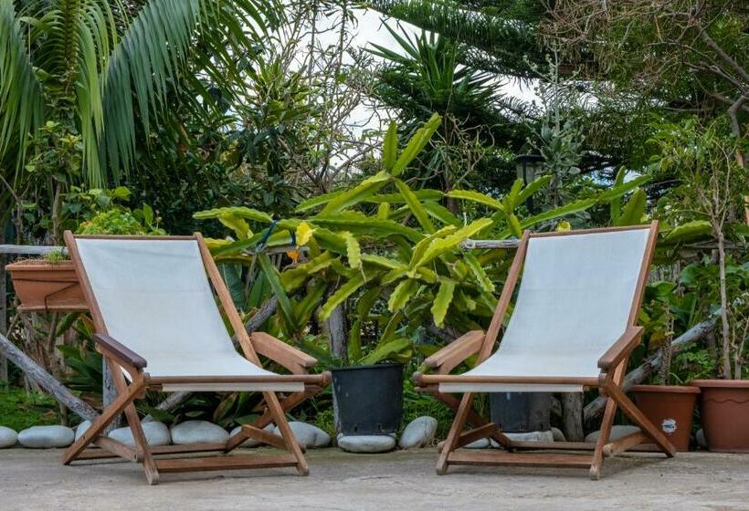 펜션 Il Fenicottero Guest House