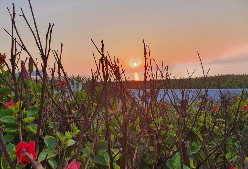 پانسیون Chalet Vert Diar Maamoura