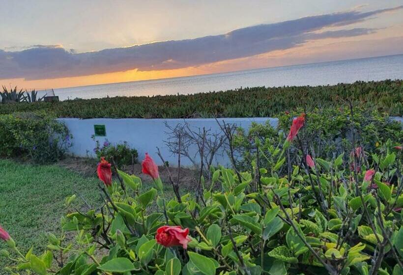 پانسیون Chalet Vert Diar Maamoura