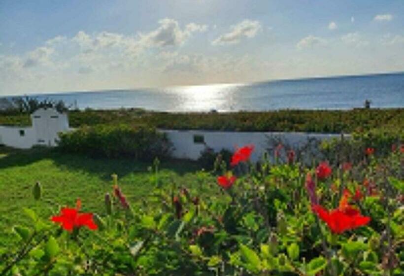 پانسیون Chalet Vert Diar Maamoura