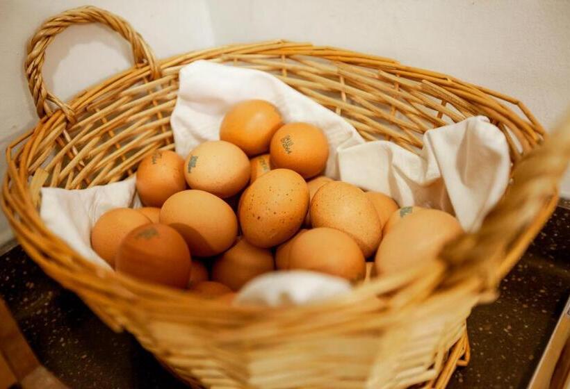 旅馆 Seoulite Inn Myeongdong Formerly Step Inn Myeongdong 2