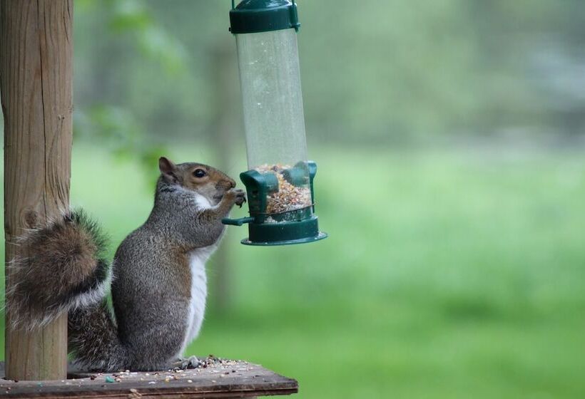 Colston Hall Cottages