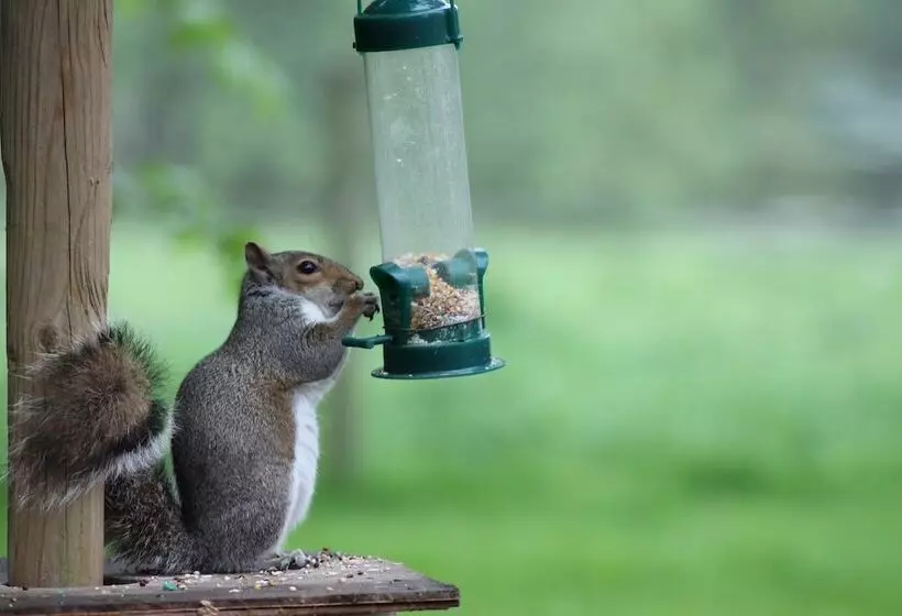 Colston Hall Cottages