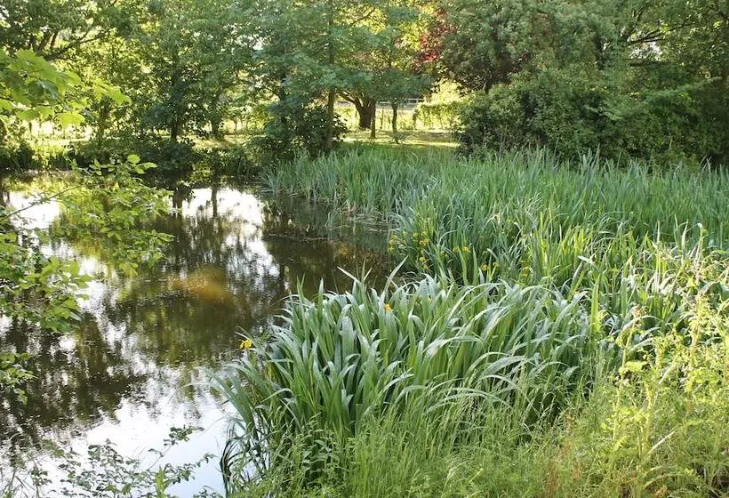 Colston Hall Cottages