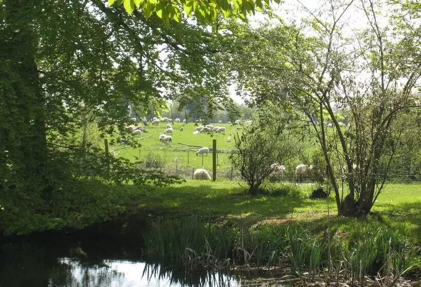 Colston Hall Cottages