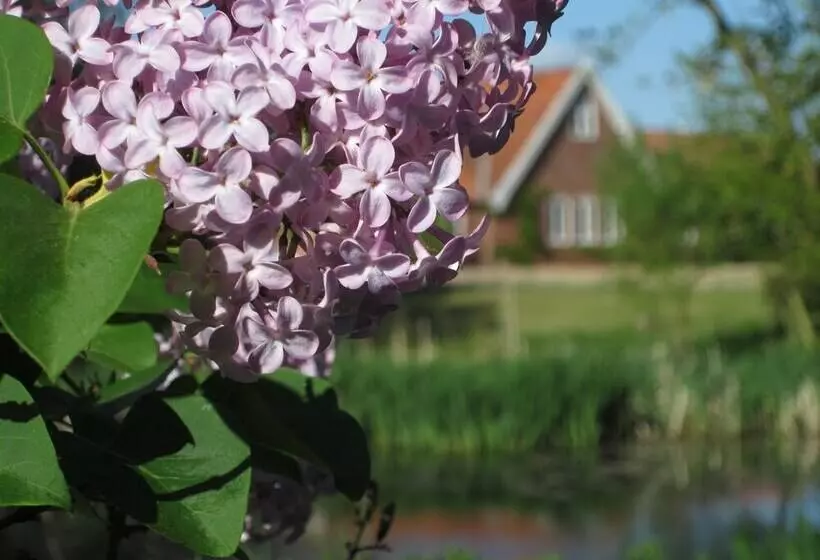 Colston Hall Cottages