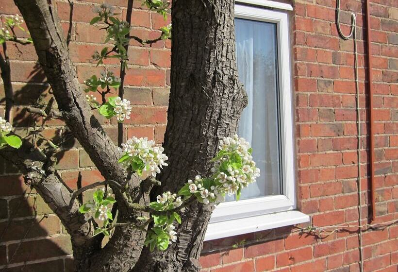 Colston Hall Cottages