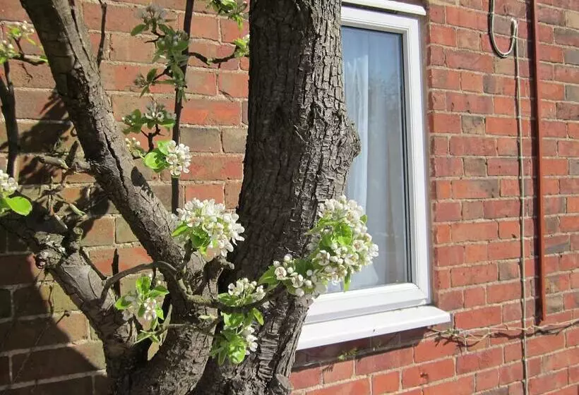Colston Hall Cottages