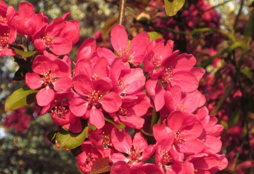 Colston Hall Cottages