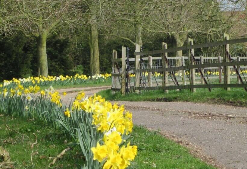 Colston Hall Cottages