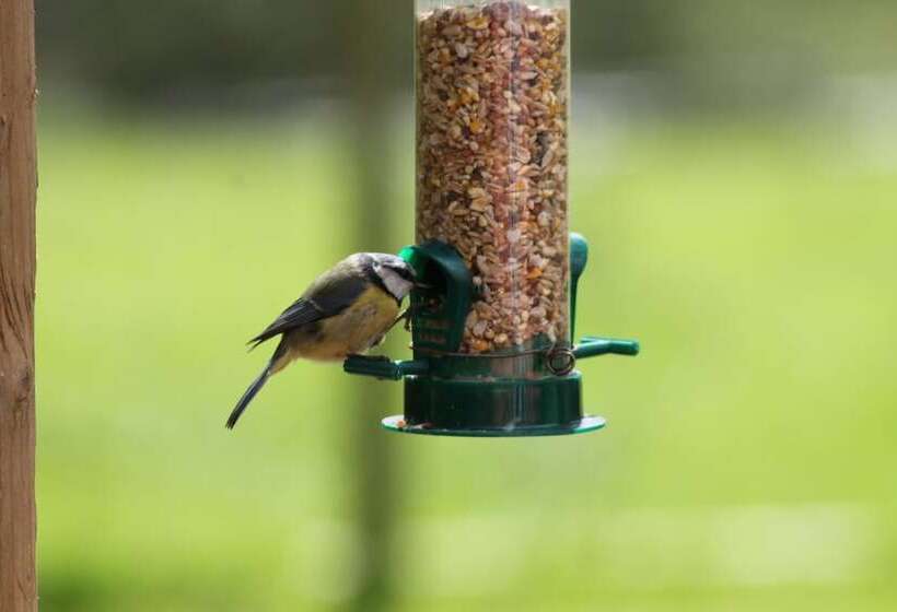 Colston Hall Cottages