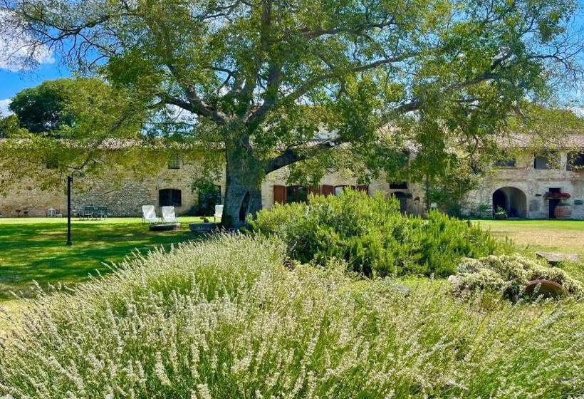 בית מלון כפרי Exclusive Pool Open All Year Spoleto Biofarm Slps 8 Village Shops, Bar1 Km 5