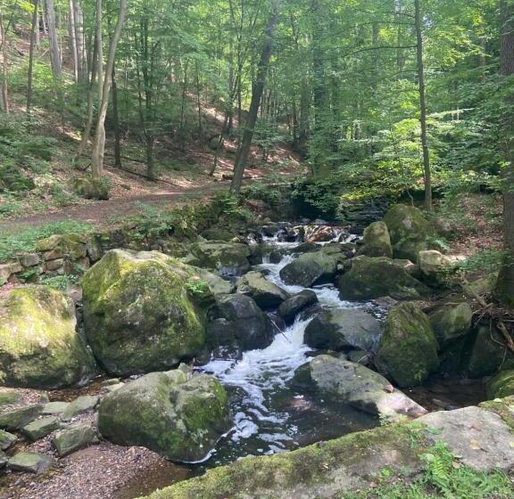 膳宿费 Das Muldenschlösschen   Gästehaus & Restaurant