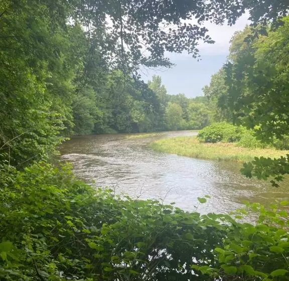ペンション Das Muldenschlösschen   Gästehaus & Restaurant