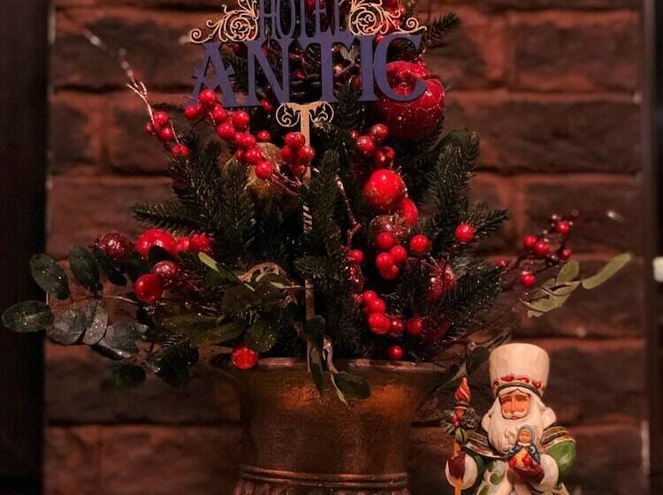 בית מלון כפרי Antic