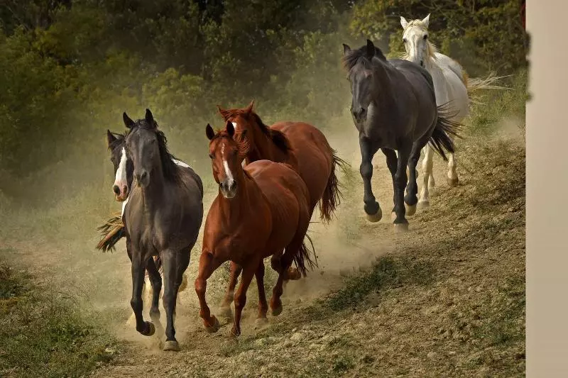 ホテル Fattoria Pieve A Salti