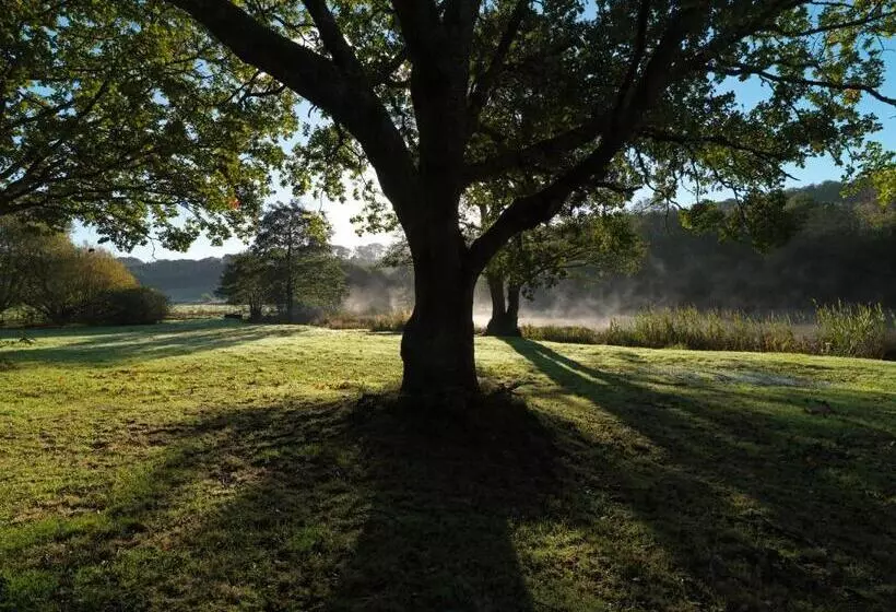 Hotelli Plas Nanteos Mansion