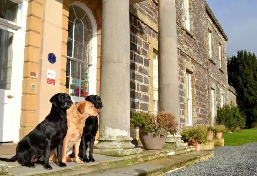 Hotelli Plas Nanteos Mansion