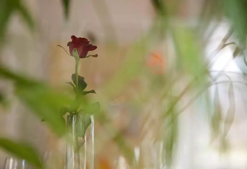 هتل Restaurant Rössli