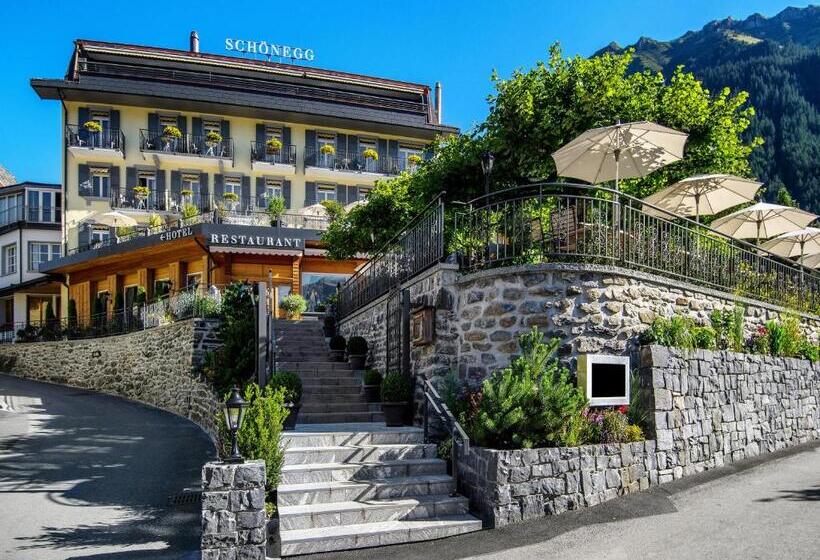 בית מלון כפרי Schonegg
