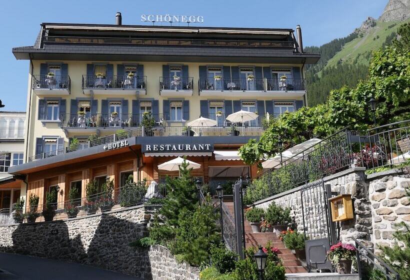 בית מלון כפרי Schonegg