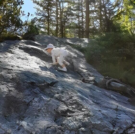 בית מלון כפרי Schonegg