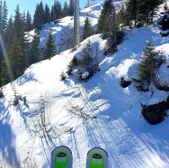 בית מלון כפרי Schonegg