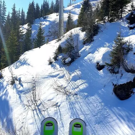 בית מלון כפרי Schonegg