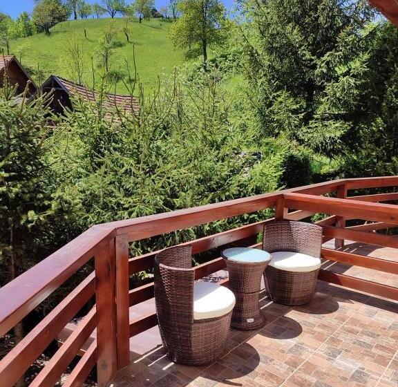 Pensiunea Antonio Bran