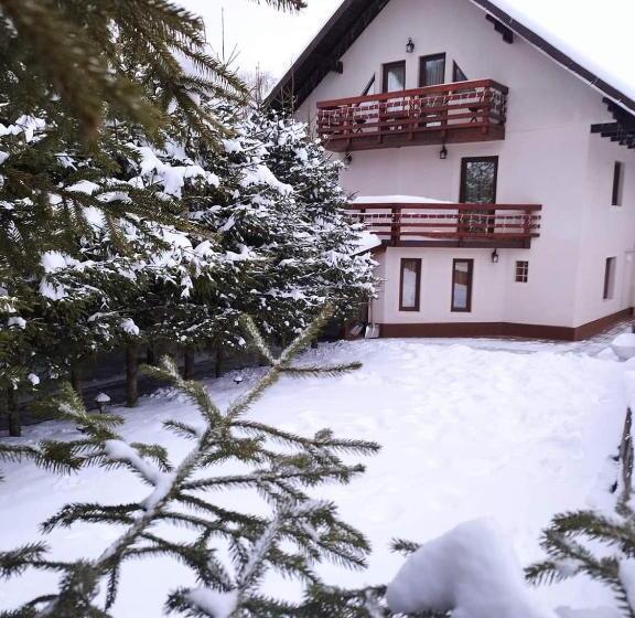 Pensiunea Antonio Bran