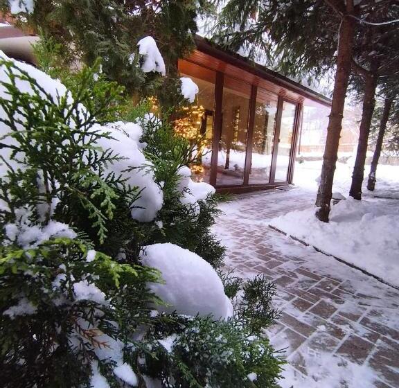 Pensiunea Antonio Bran