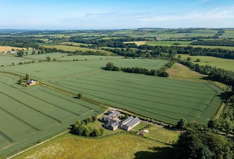 Home Farm B&b   Sunflower Room