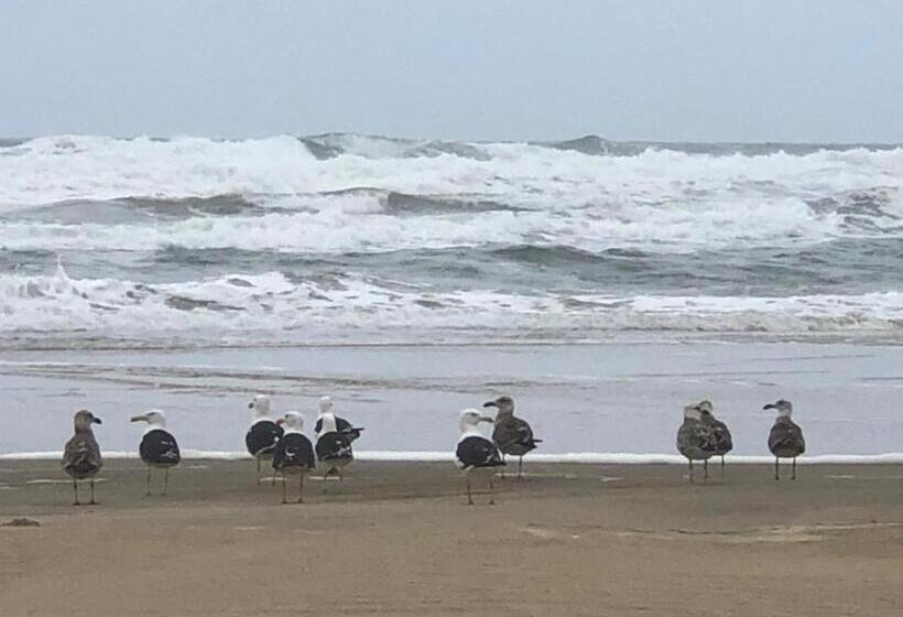ペンション Recanto Das Pedras   Casa Pedra Portuguesa   Com Vista Para O Mar